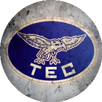 Logo Taguatinga Esporte Clube